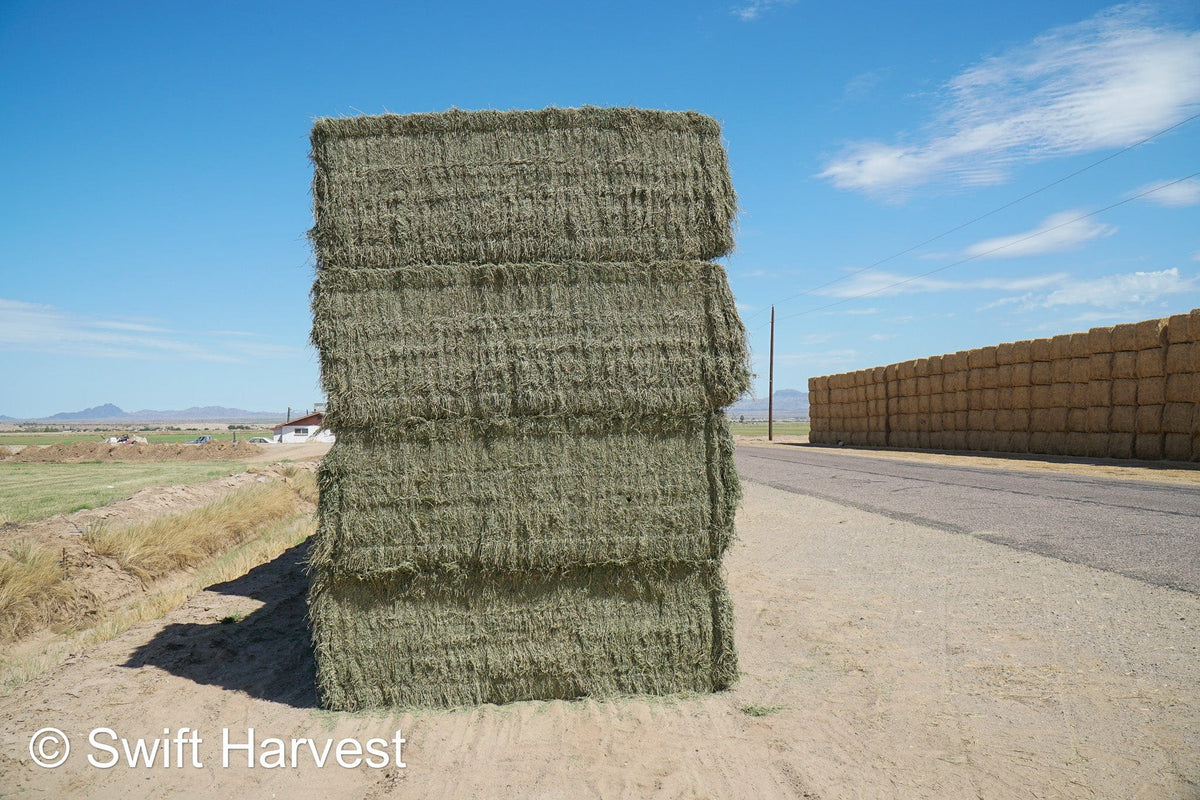 Martinez Farms Arizona Alfalfa Big Bale 27-6 AZ Fair Big Bales Alfalfa CP 17 RFV 141 TDN 56 FACS 95/110