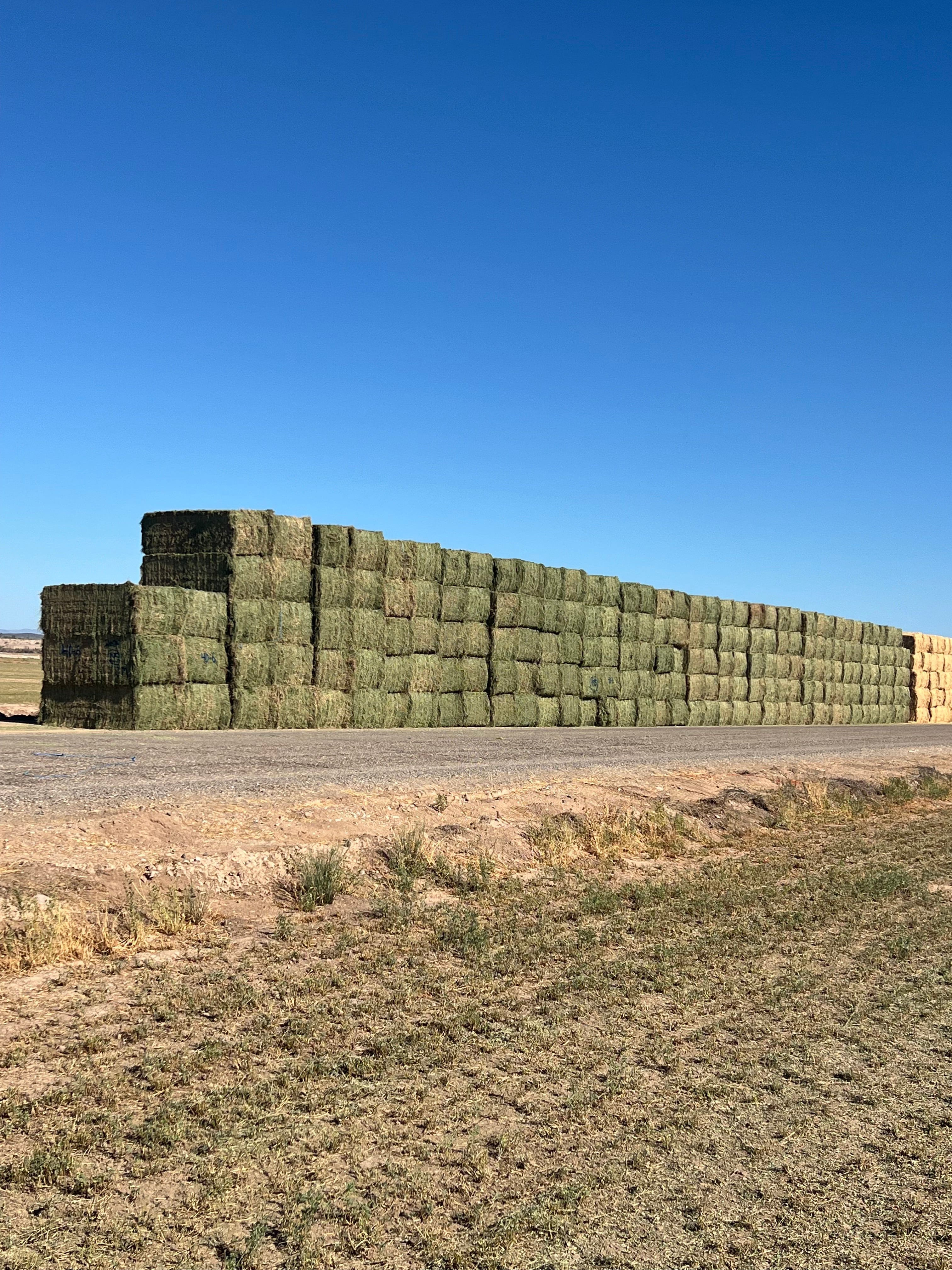 Martinez Farms Arizona Alfalfa Big Bale 40-6 Good/Premium AZ Big Bales CP 20 RFV 155 TDN 58 FACS 92/110