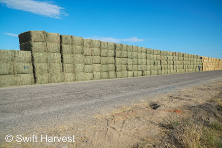 Martinez Farms Arizona Alfalfa Big Bale 40-6 Good/Premium AZ Big Bales CP 20 RFV 155 TDN 58 FACS 92/110