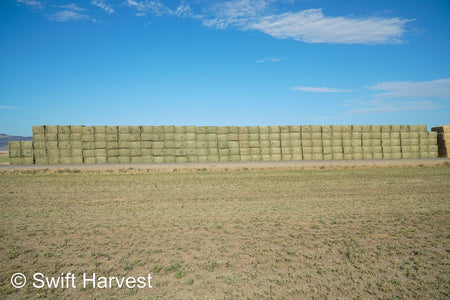 Martinez Farms Arizona Alfalfa Big Bale 40-6 Good/Premium AZ Big Bales CP 20 RFV 155 TDN 58 FACS 92/110