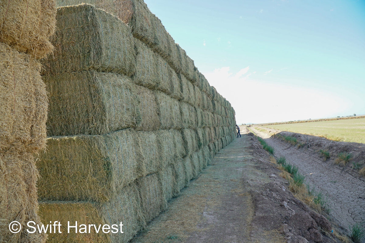 Martinez Farms Arizona Alfalfa Big Bale 40-6 Good/Premium AZ Big Bales CP 20 RFV 155 TDN 58 FACS 92/110