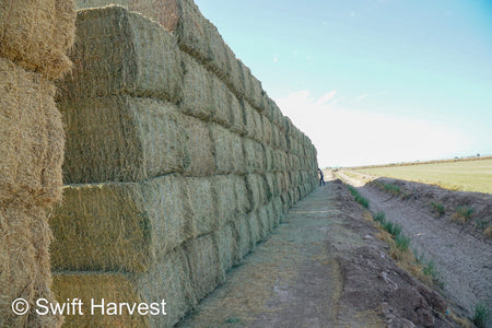 Martinez Farms Arizona Alfalfa Big Bale 40-6 Good/Premium AZ Big Bales CP 20 RFV 155 TDN 58 FACS 92/110