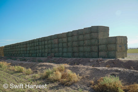 Martinez Farms Arizona Alfalfa Big Bale 40-6 Good/Premium AZ Big Bales CP 20 RFV 155 TDN 58 FACS 92/110