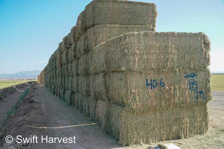 Martinez Farms Arizona Alfalfa Big Bale 40-6 Good/Premium AZ Big Bales CP 20 RFV 155 TDN 58 FACS 92/110