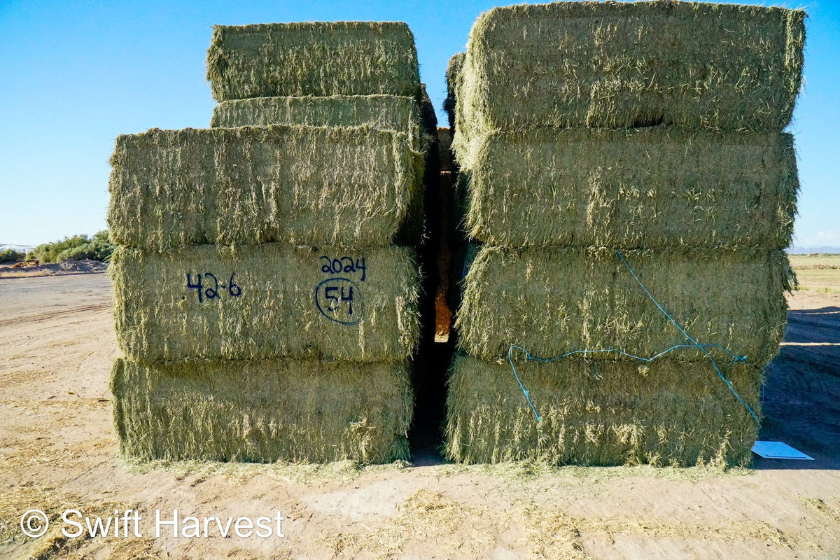 Martinez Farms Arizona Alfalfa Big Bale 42-6 Fair AZ Big Bales CP 17 RFV 144 TDN 56  FACS 89/110