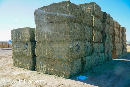 Martinez Farms Arizona Alfalfa Big Bale 42-6 Fair AZ Big Bales CP 17 RFV 144 TDN 56  FACS 89/110