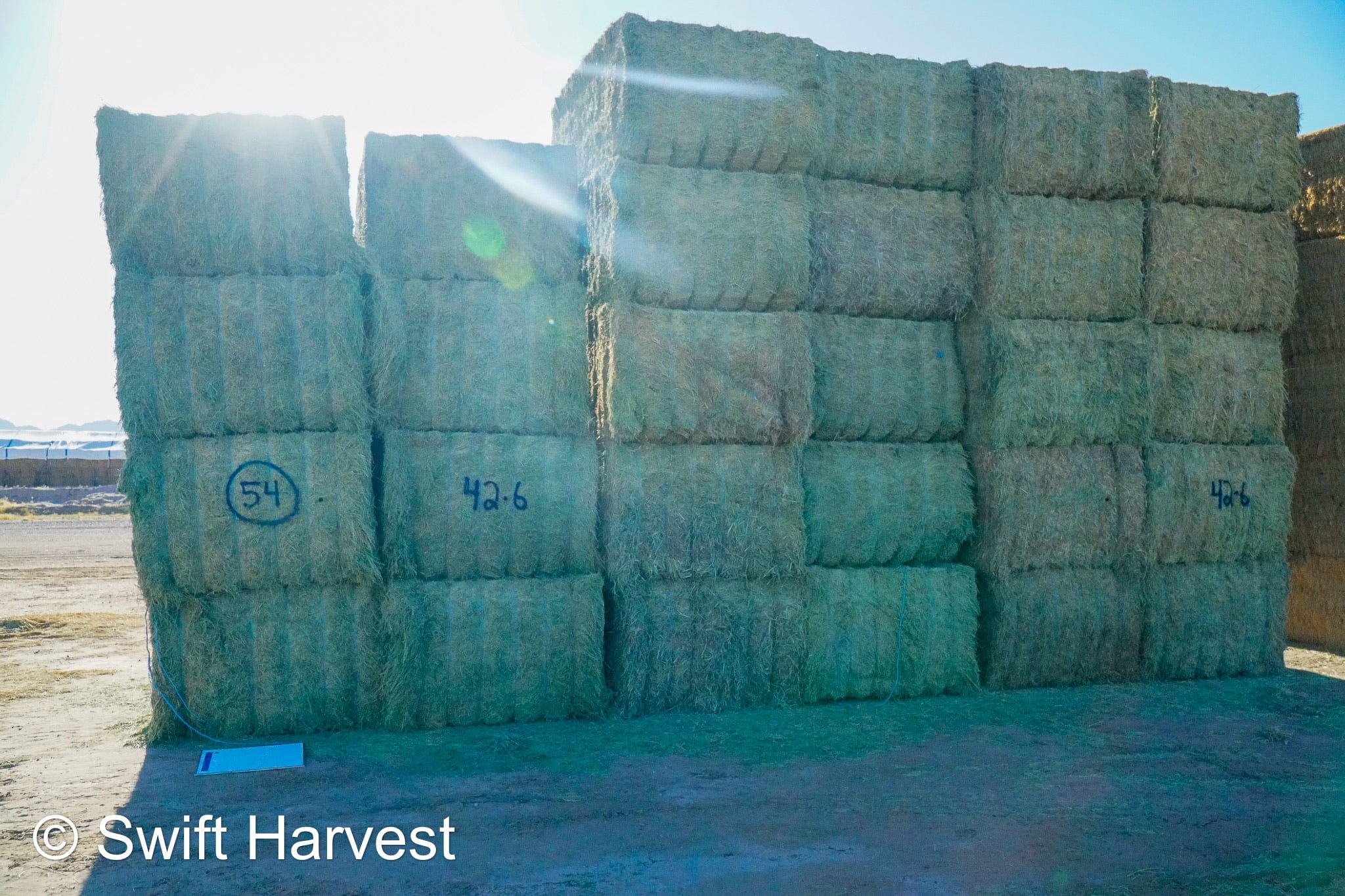 Martinez Farms Arizona Alfalfa Big Bale 42-6 Fair AZ Big Bales CP 17 RFV 144 TDN 56  FACS 89/110