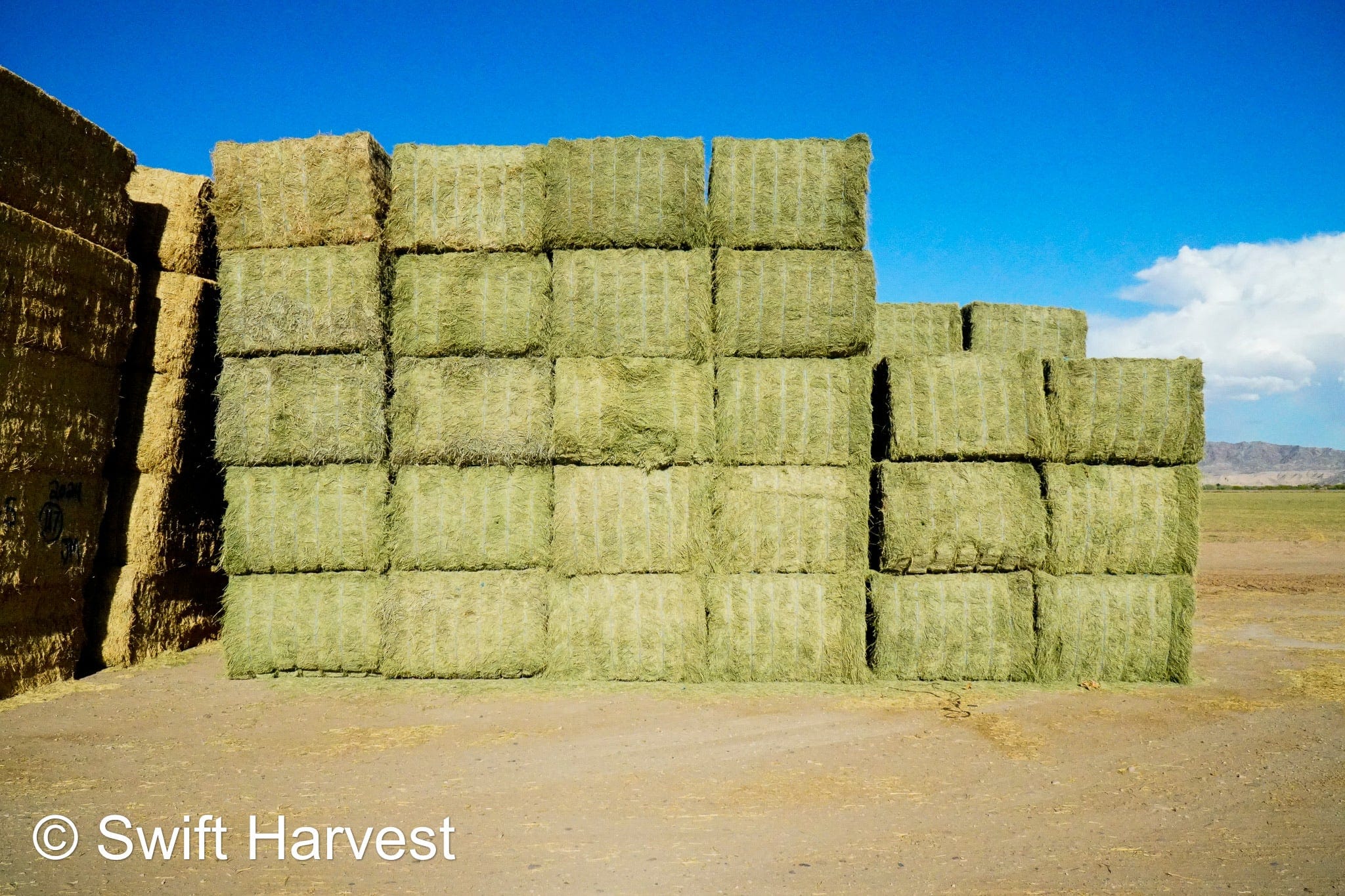 Martinez Farms Arizona Alfalfa Big Bale 42-6 Fair AZ Big Bales CP 17 RFV 144 TDN 56  FACS 89/110