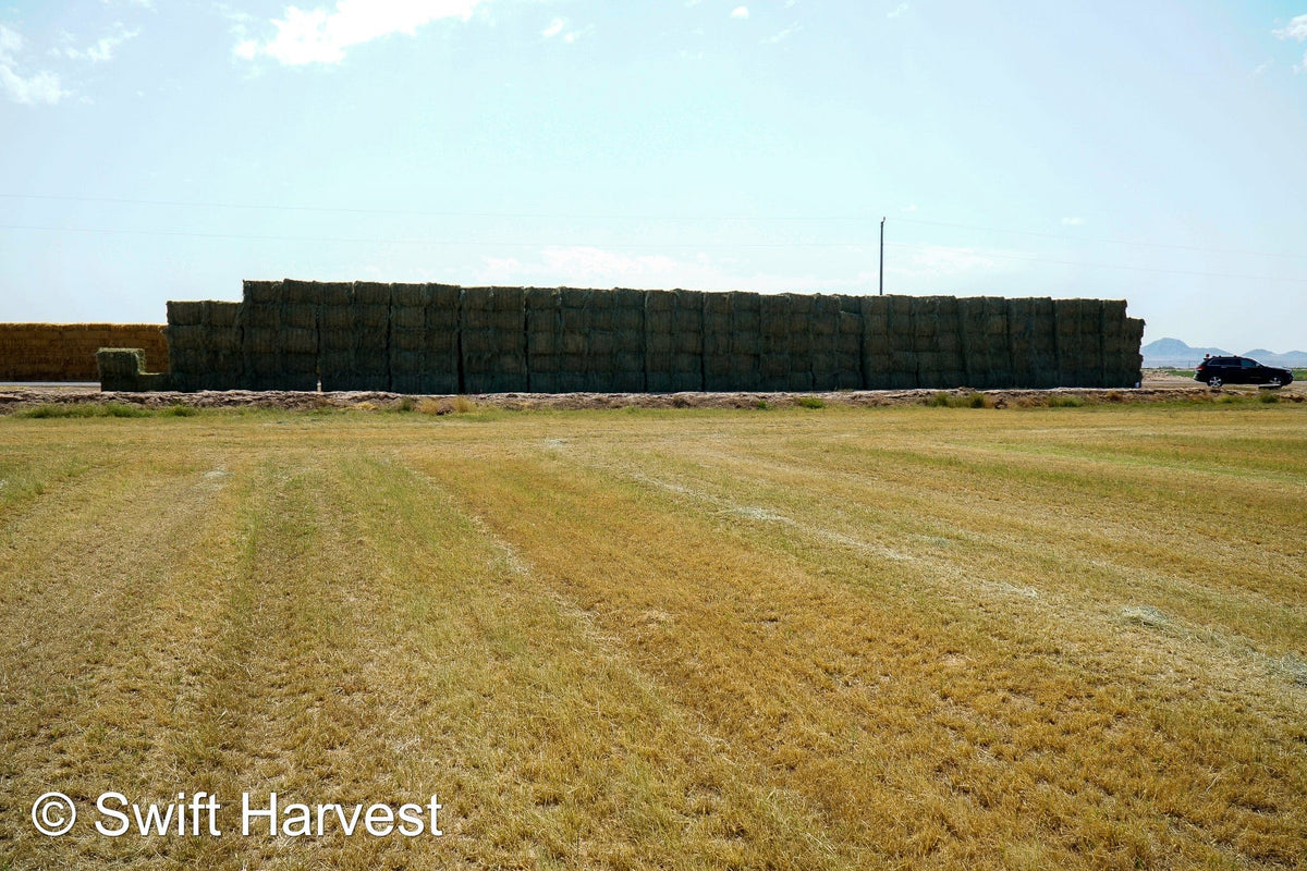 Martinez Farms bermuda big bales 16-3 AZ #2 Big Bales Bermuda 99/110