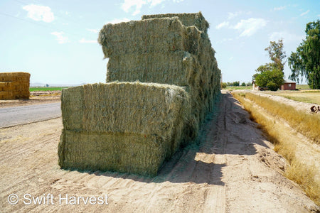 Martinez Farms bermuda big bales 16-3 AZ #2 Big Bales Bermuda 99/110