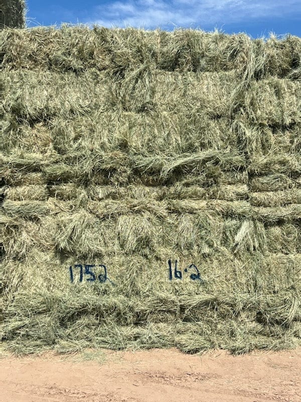 Martinez Farms bermuda small bales 16-2 Bermuda small bales