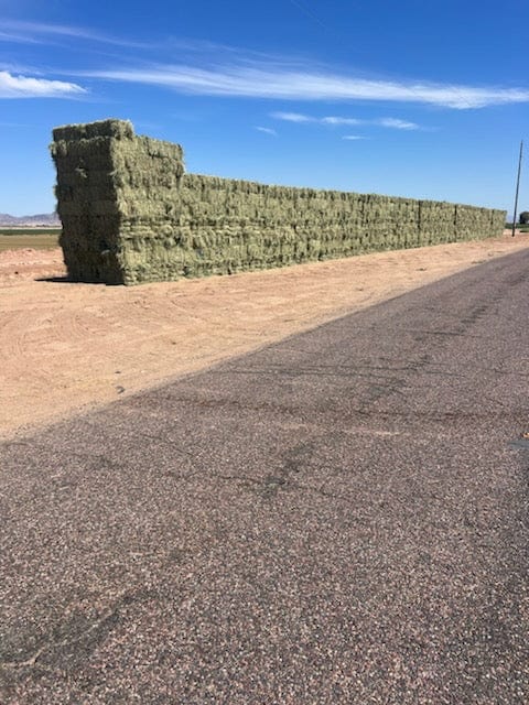 Martinez Farms bermuda small bales 16-2 Bermuda small bales