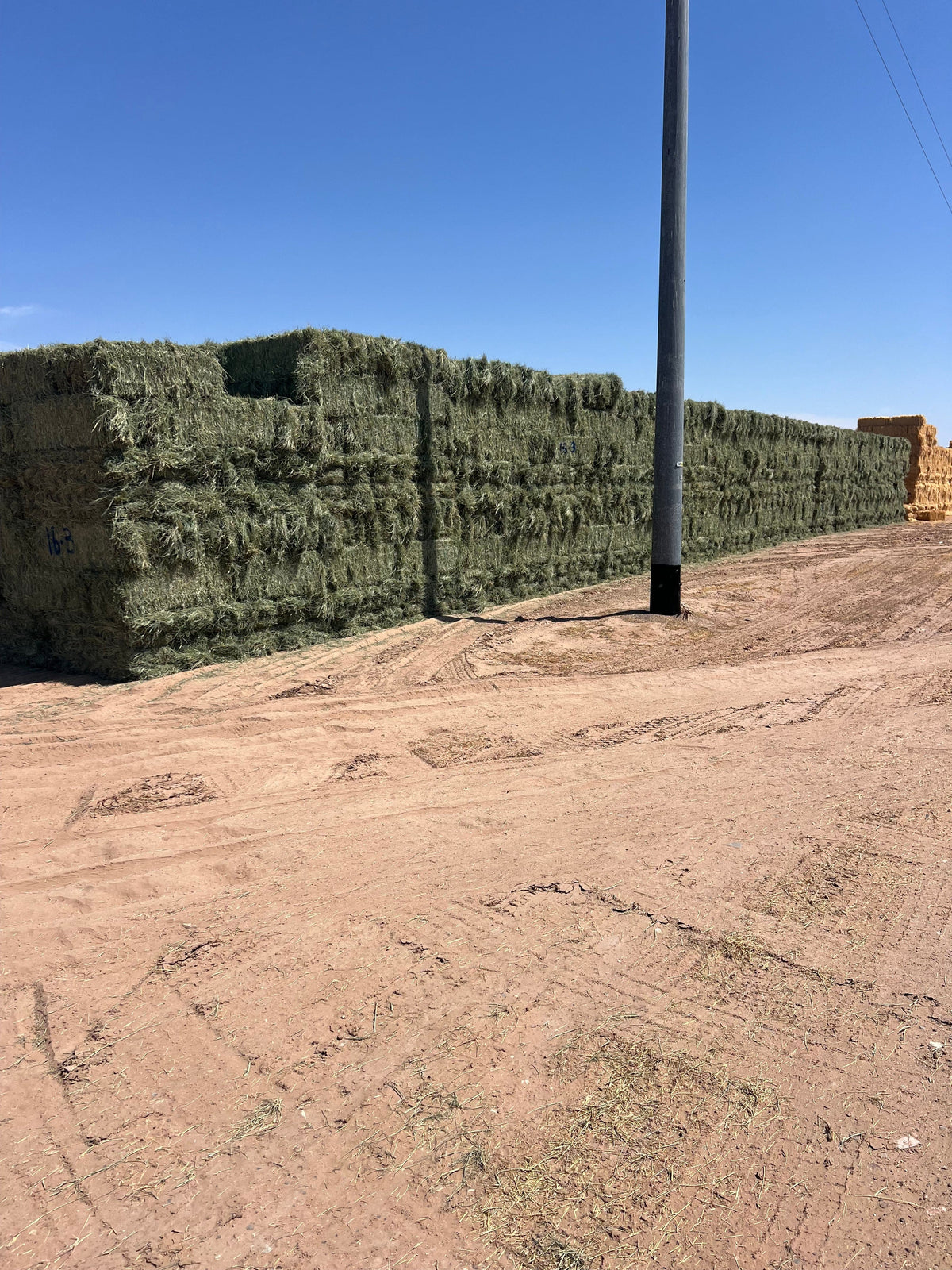 Martinez Farms bermuda small bales 16-3 AZ #2 Bermuda Small Bales  FACS 98/110