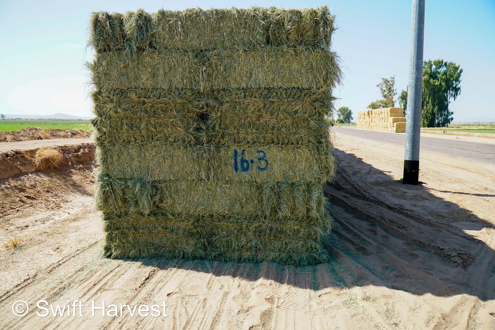 Martinez Farms bermuda small bales 16-3 AZ #2 Bermuda Small Bales  FACS 98/110