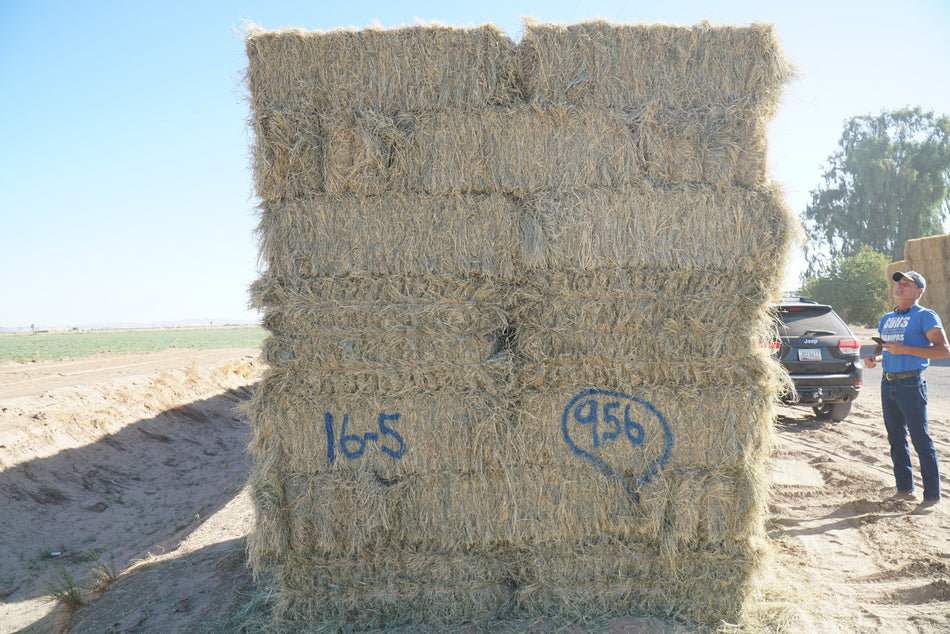 Martinez Farms bermuda small bales 16-5 AZ Bermuda Small Bales FACS 73/110