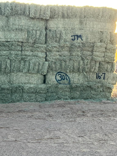 Martinez Farms bermuda small bales 16-7 AZ Bermuda Small Bales