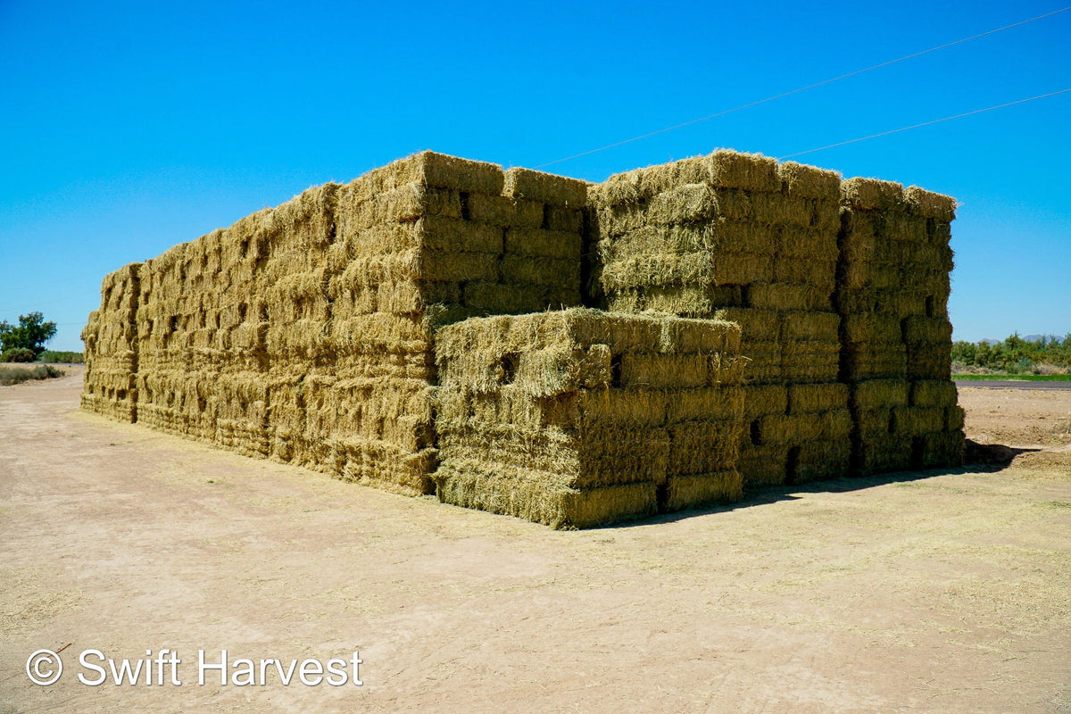 Martinez Farms bermuda small bales M1-3 Bermuda small bales FACS 106/ 110