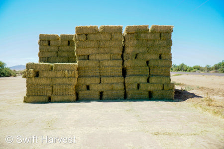 Martinez Farms bermuda small bales M1-3 Bermuda small bales FACS 106/ 110