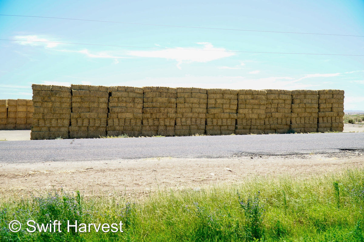 Martinez Farms bermuda small bales M1-3 Bermuda small bales FACS 106/ 110