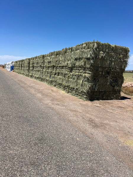 Martinez Farms bermuda small bales M1-5 AZ Small Bales Bermuda