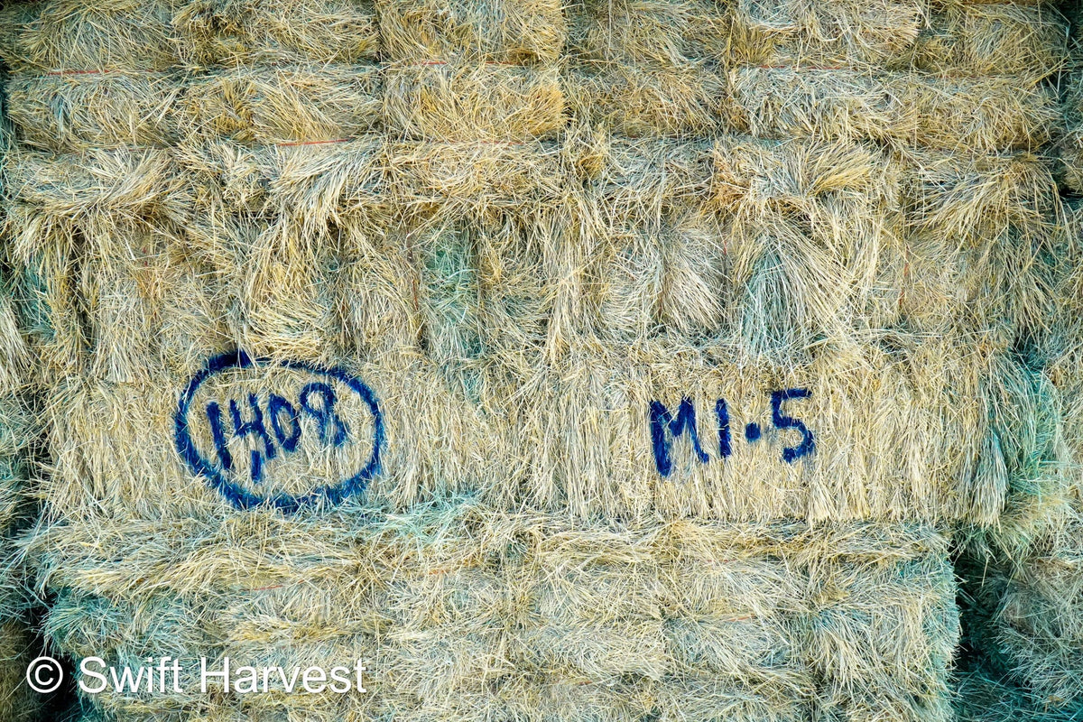 Martinez Farms bermuda small bales M1-5 AZ Small Bales Bermuda