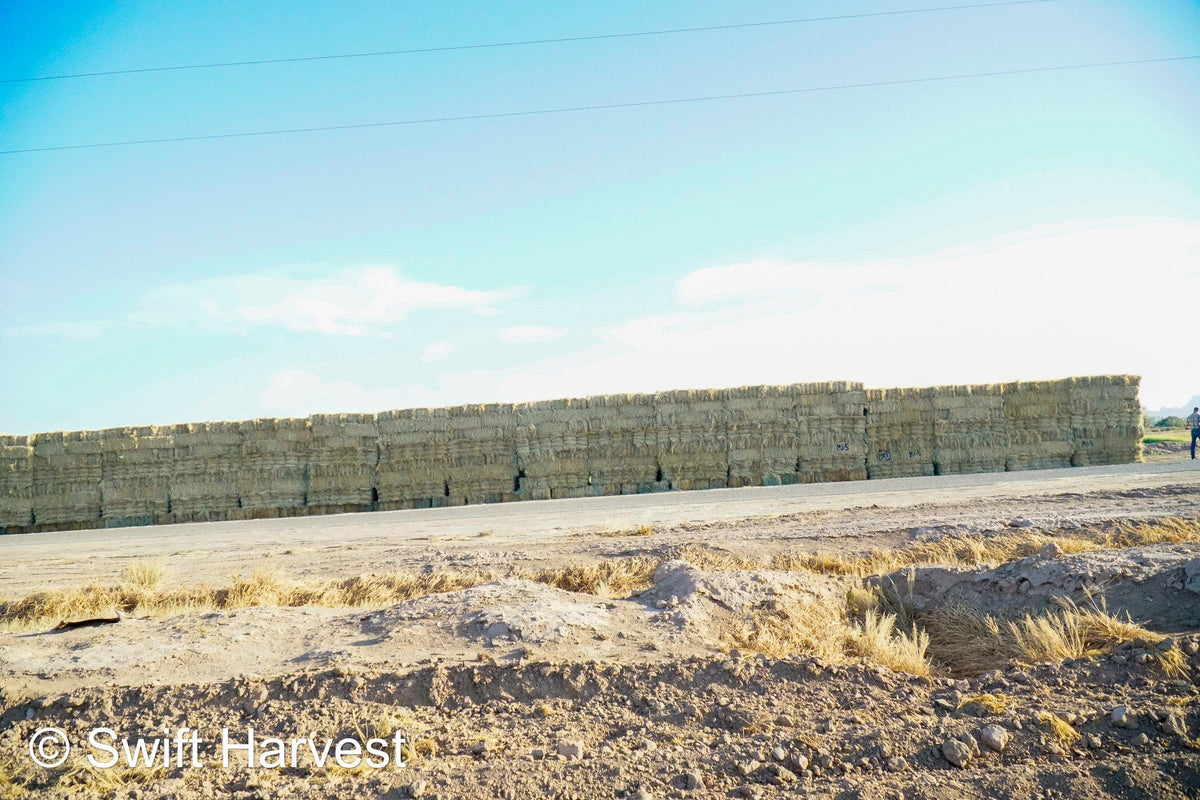 Martinez Farms bermuda small bales M1-5 AZ Small Bales Bermuda