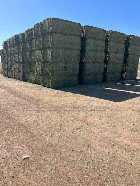 Martinez Farms Big Bale Alfalfa 1-4   Alfalfa Test Hay Big Bales