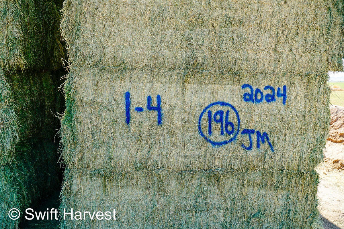 Martinez Farms Big Bale Alfalfa 1-4 Auction Premium/Good AZ Alfalfa Test Hay Big Bales CP 20 RFV 160 TDN 59 FACS 94/110