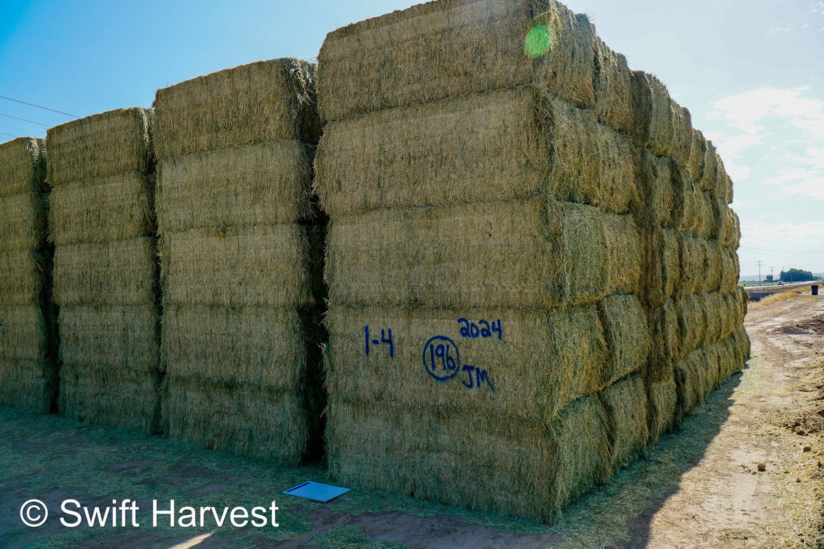 Martinez Farms Big Bale Alfalfa 1-4 Auction Premium/Good AZ Alfalfa Test Hay Big Bales CP 20 RFV 160 TDN 59 FACS 94/110