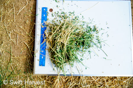 Martinez Farms Big Bale Alfalfa 1-4 Auction Premium/Good AZ Alfalfa Test Hay Big Bales CP 20 RFV 160 TDN 59 FACS 94/110