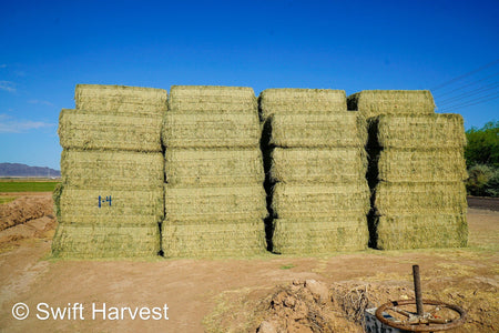 Martinez Farms Big Bale Alfalfa 1-4 Auction Premium/Good AZ Alfalfa Test Hay Big Bales CP 20 RFV 160 TDN 59 FACS 94/110