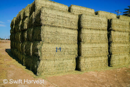 Martinez Farms Big Bale Alfalfa 1-4 Auction Premium/Good AZ Alfalfa Test Hay Big Bales CP 20 RFV 160 TDN 59 FACS 94/110