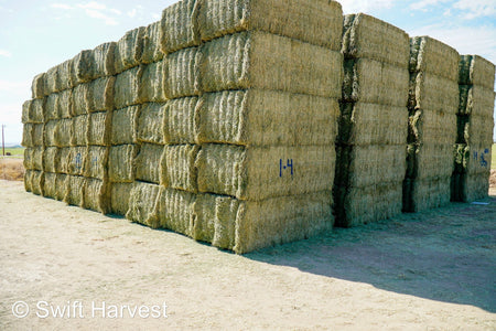 Martinez Farms Big Bale Alfalfa 1-4 Auction Premium/Good AZ Alfalfa Test Hay Big Bales CP 20 RFV 160 TDN 59 FACS 94/110