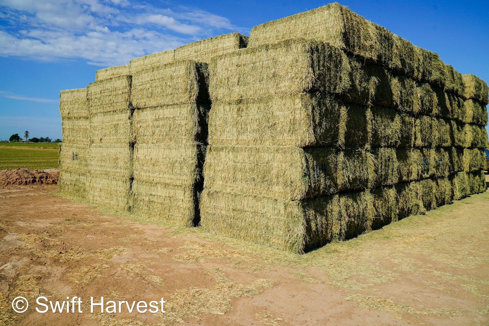 Martinez Farms Big Bale Alfalfa 1-4 Auction Premium/Good AZ Alfalfa Test Hay Big Bales CP 20 RFV 160 TDN 59 FACS 94/110