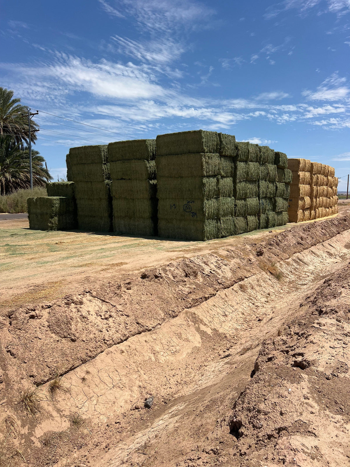 Martinez Farms Big Bale Alfalfa 1-5 Auction AZ Prem/Supr Alfalfa Big Bales CP 21 RFV 181 TDN 62 FACS 94/110