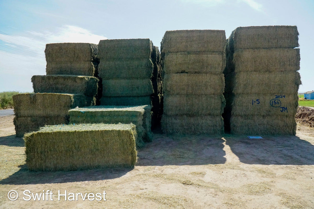 Martinez Farms Big Bale Alfalfa 1-5 Auction AZ Prem/Supr Alfalfa Big Bales CP 21 RFV 181 TDN 62 FACS 94/110