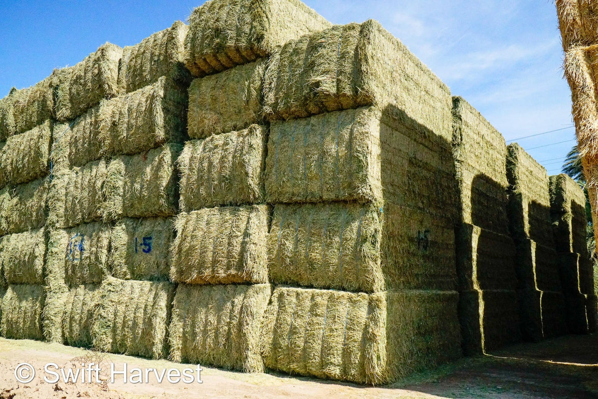 Martinez Farms Big Bale Alfalfa 1-5 Auction AZ Prem/Supr Alfalfa Big Bales CP 21 RFV 181 TDN 62 FACS 94/110