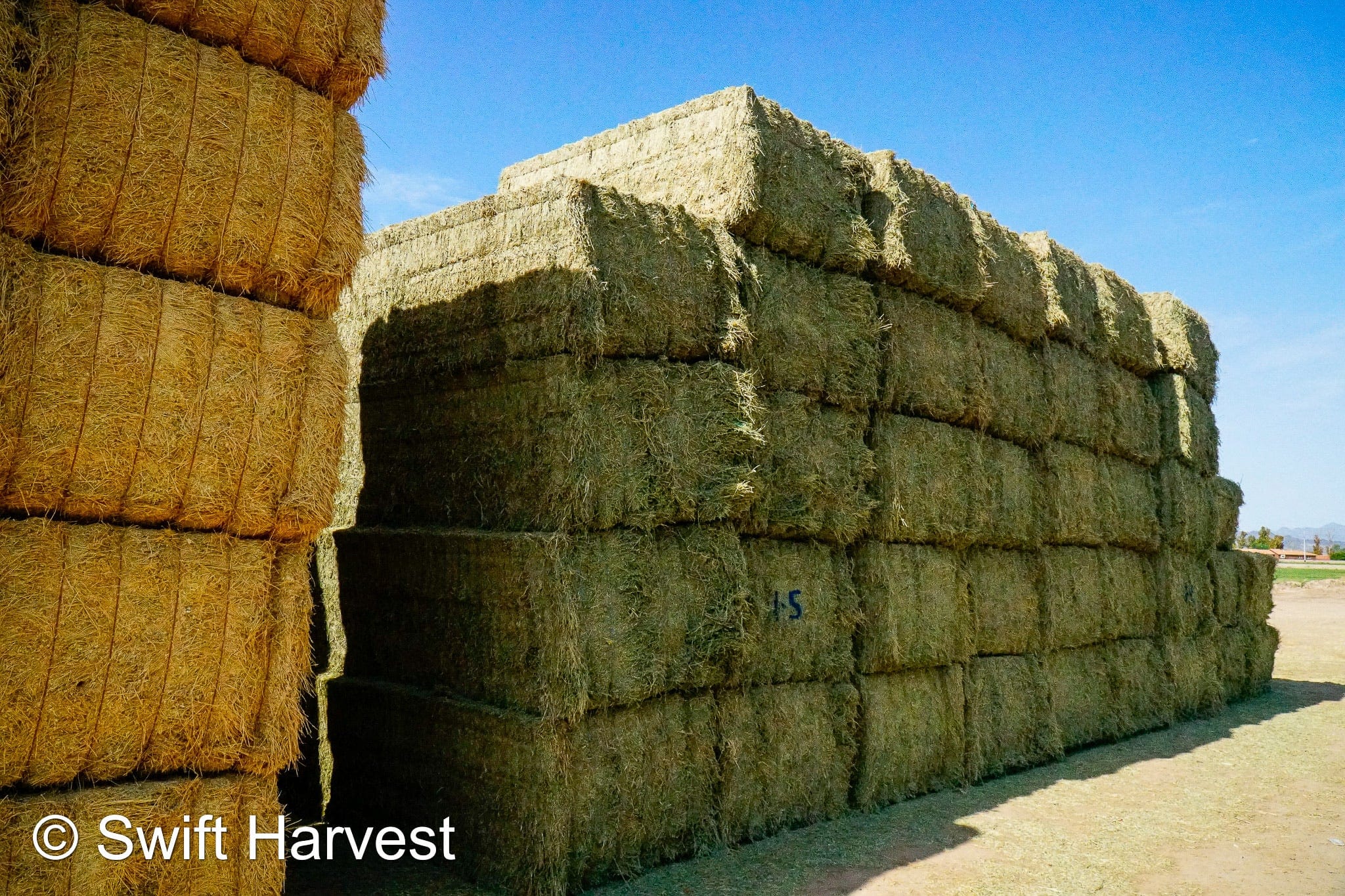 Martinez Farms Big Bale Alfalfa 1-5 Auction AZ Prem/Supr Alfalfa Big Bales CP 21 RFV 181 TDN 62 FACS 94/110