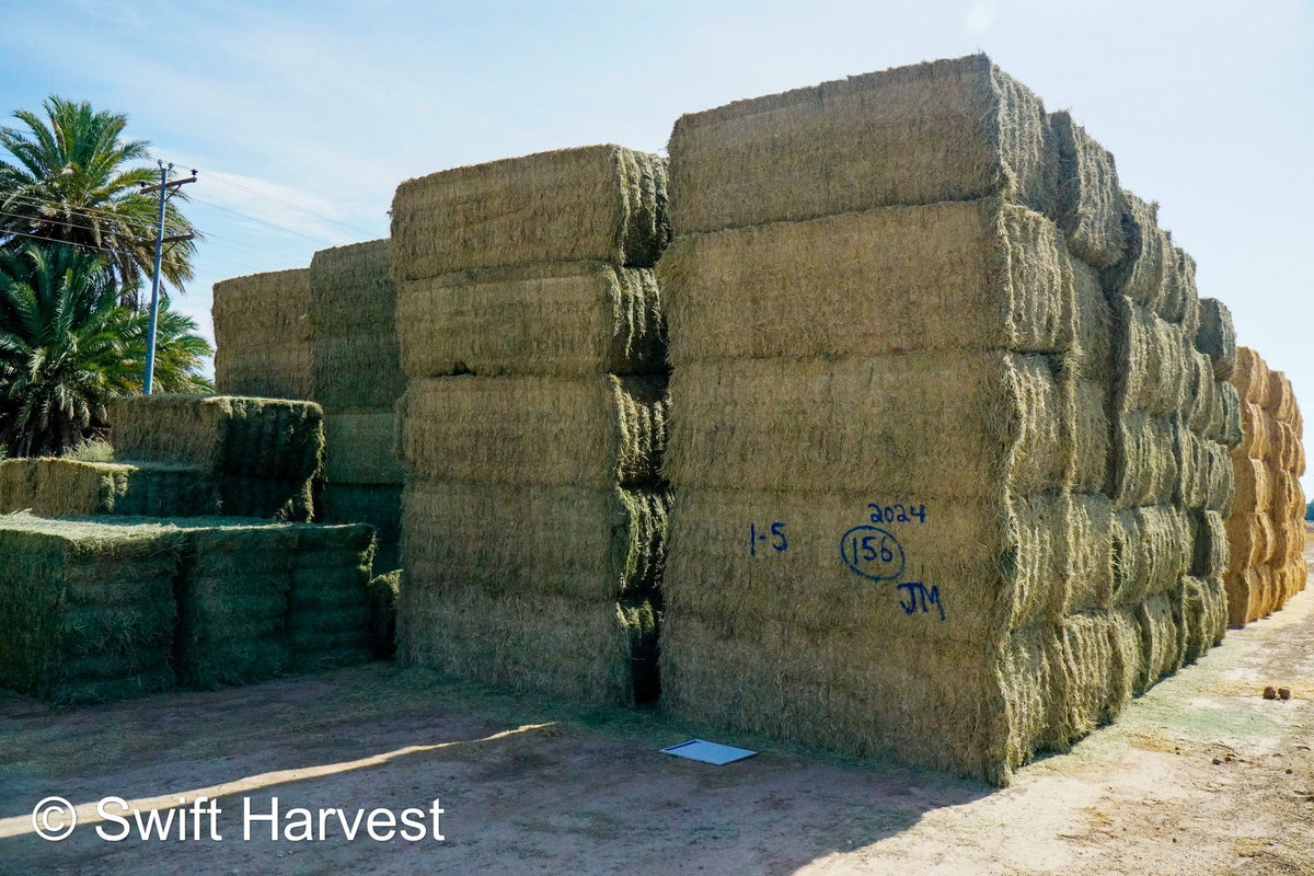 Martinez Farms Big Bale Alfalfa 1-5 Auction AZ Prem/Supr Alfalfa Big Bales CP 21 RFV 181 TDN 62 FACS 94/110