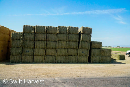 Martinez Farms Big Bale Alfalfa 1-5 Auction AZ Prem/Supr Alfalfa Big Bales CP 21 RFV 181 TDN 62 FACS 94/110