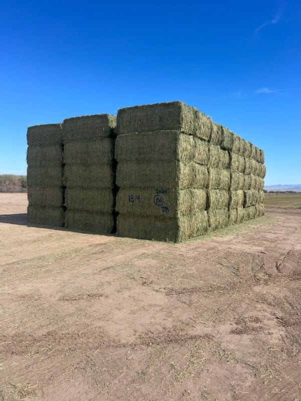 Martinez Farms Big Bale Alfalfa 13-4 Auction Fair AZ Alfalfa Test Hay Big Bales CP 15 RFV 149 TDN 55 FACS 97/110