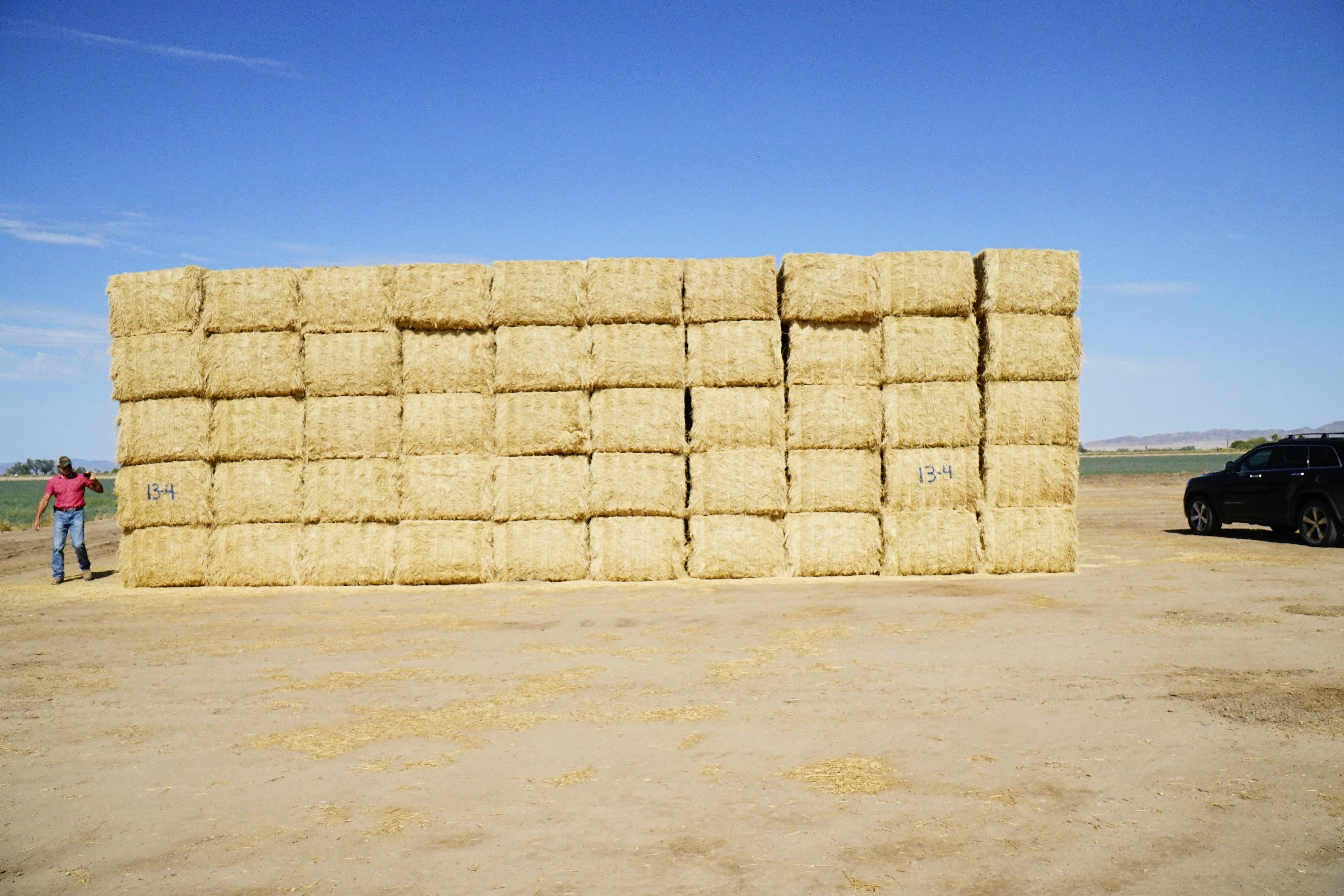 Martinez Farms Big Bale Alfalfa 13-4 Auction Fair AZ Alfalfa Test Hay Big Bales CP 15 RFV 149 TDN 55 FACS 97/110