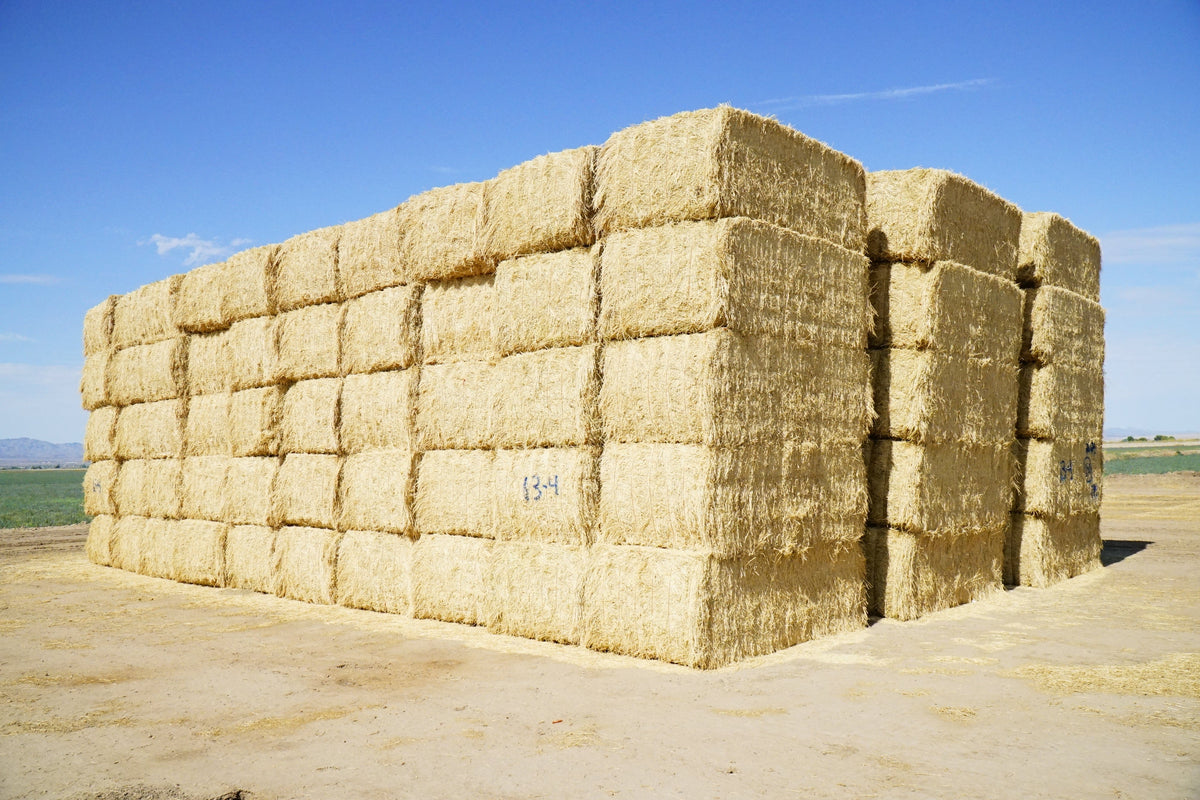 Martinez Farms Big Bale Alfalfa 13-4 Auction Fair AZ Alfalfa Test Hay Big Bales CP 15 RFV 149 TDN 55 FACS 97/110