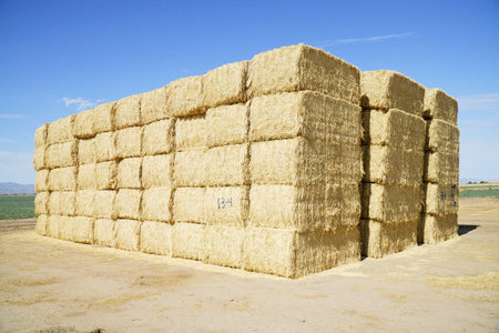 Martinez Farms Big Bale Alfalfa 13-4 Auction Fair AZ Alfalfa Test Hay Big Bales CP 15 RFV 149 TDN 55 FACS 97/110