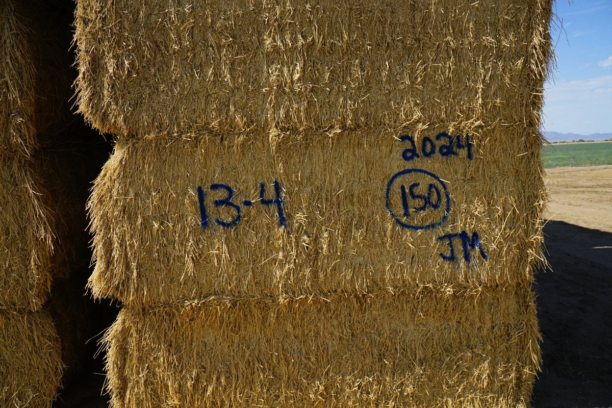 Martinez Farms Big Bale Alfalfa 13-4 Auction Fair AZ Alfalfa Test Hay Big Bales CP 15 RFV 149 TDN 55 FACS 97/110