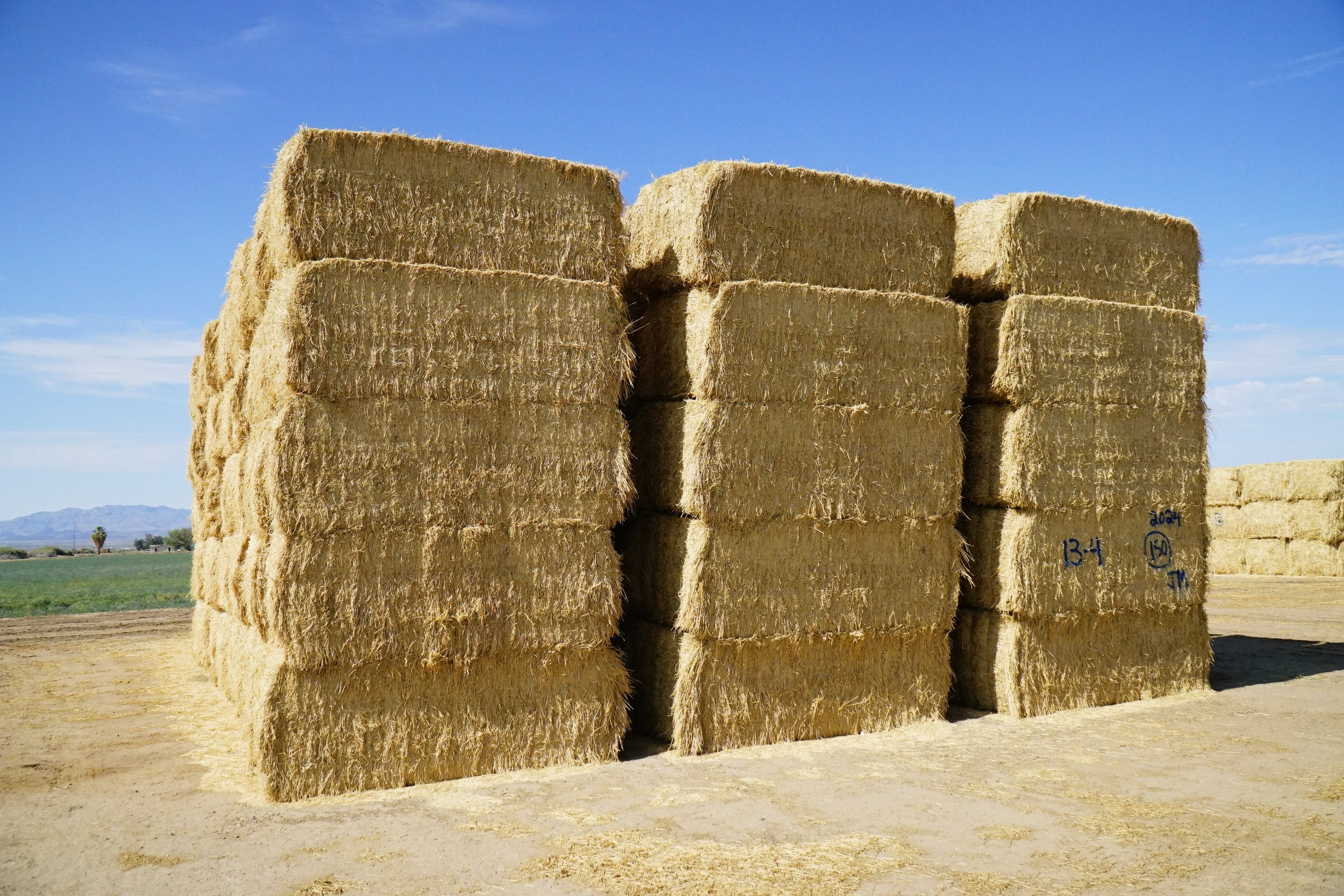 Martinez Farms Big Bale Alfalfa 13-4 Auction Fair AZ Alfalfa Test Hay Big Bales CP 15 RFV 149 TDN 55 FACS 97/110