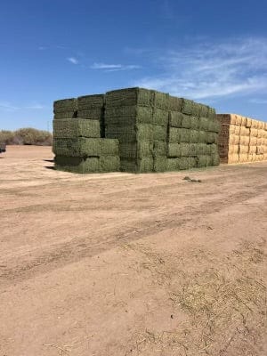 Martinez Farms Big Bale Alfalfa 13-5 Auction Good/Prem AZ Alfalfa Big Bales CP 20 RFV 158 TDN 59 FACS 90/110