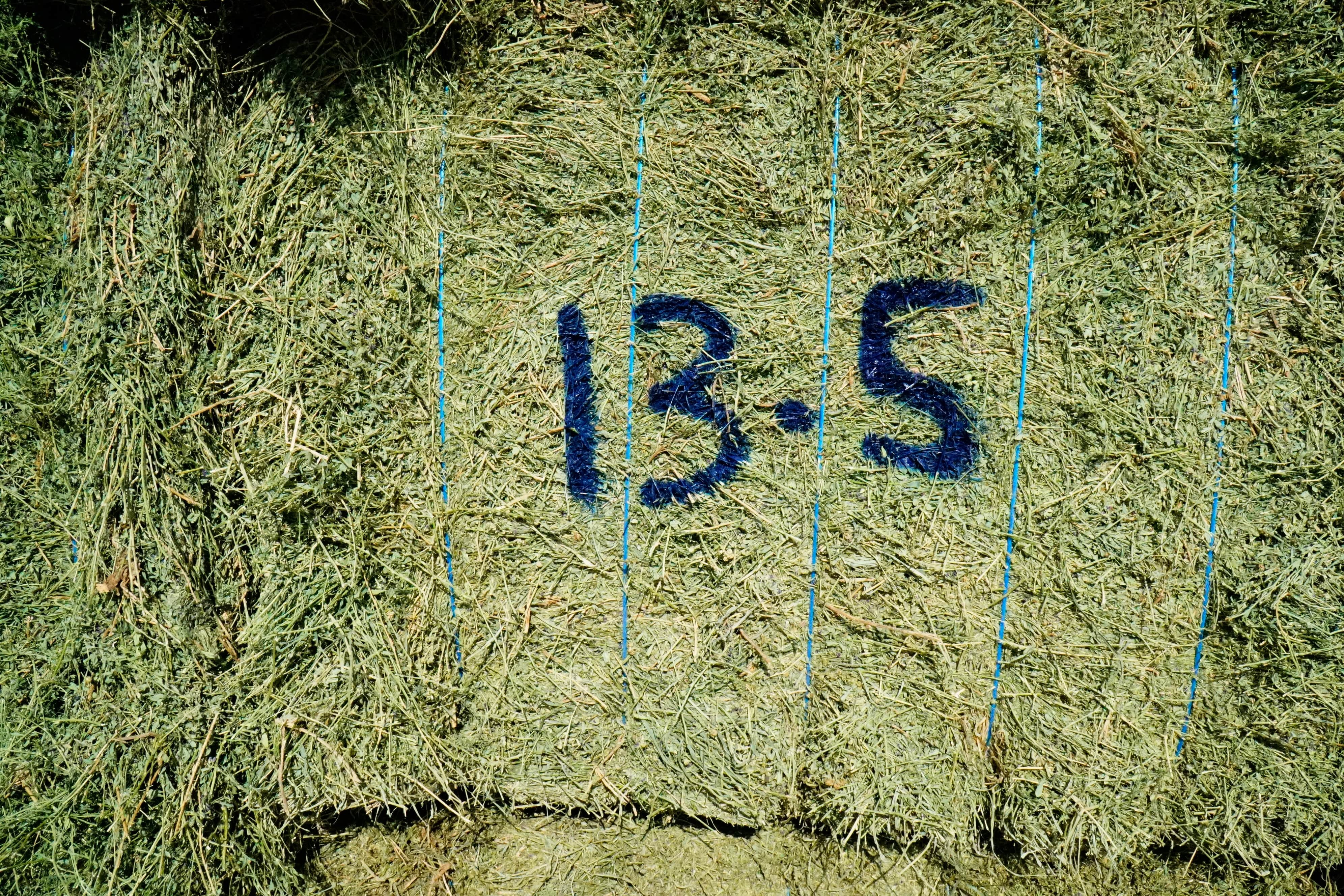 Martinez Farms Big Bale Alfalfa 13-5 Auction Good/Prem AZ Alfalfa Big Bales CP 20 RFV 158 TDN 59 FACS 90/110