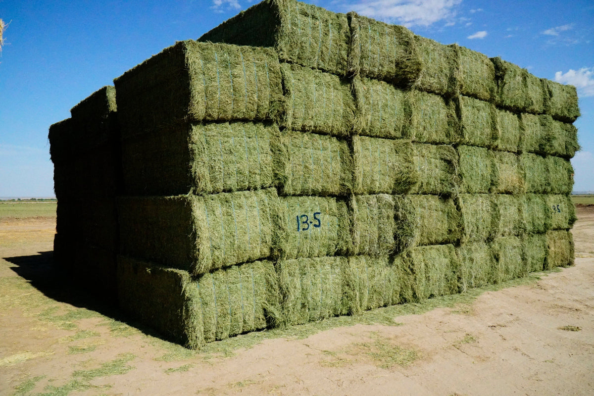 Martinez Farms Big Bale Alfalfa 13-5 Auction Good/Prem AZ Alfalfa Big Bales CP 20 RFV 158 TDN 59 FACS 90/110