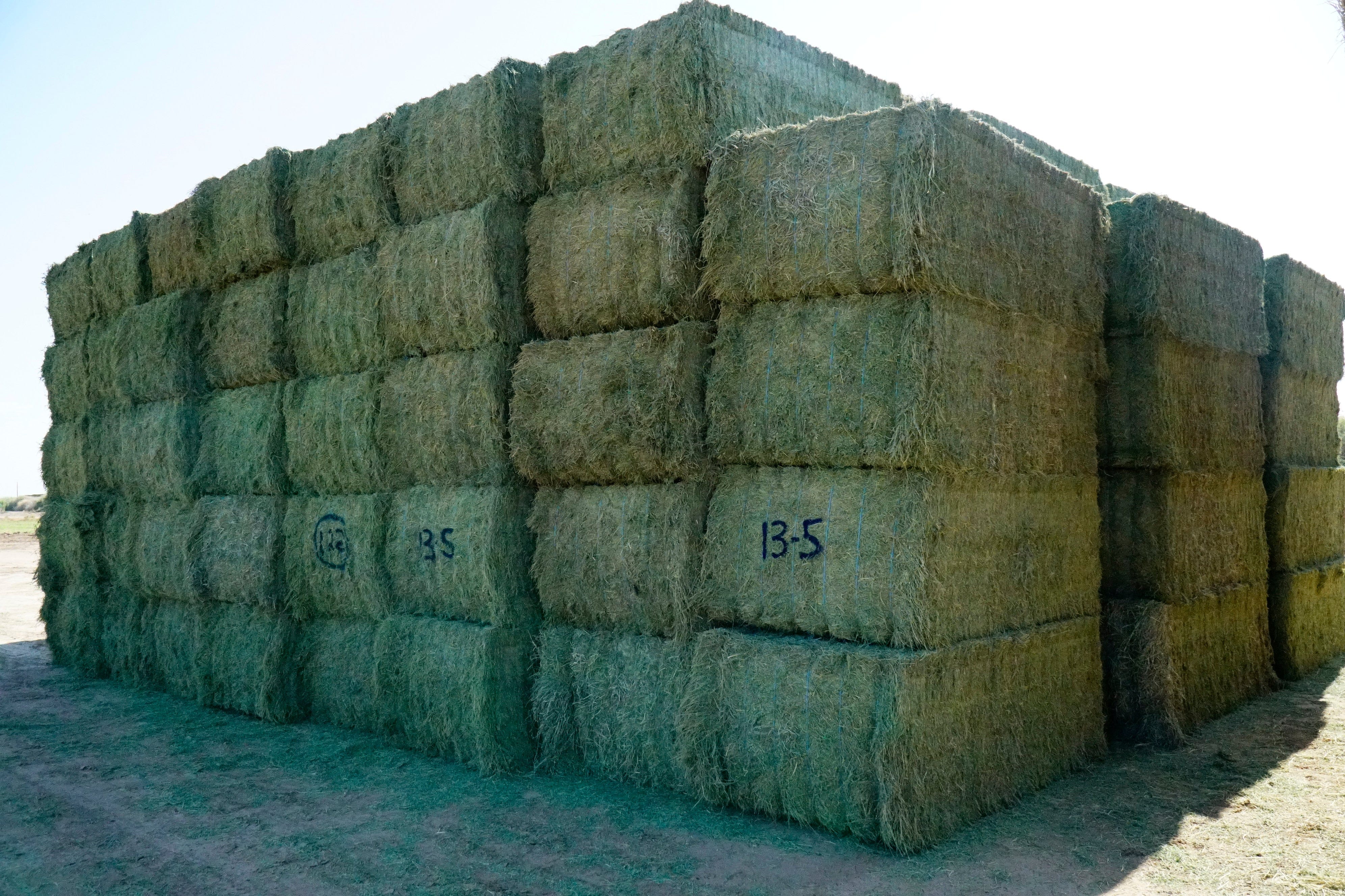 Martinez Farms Big Bale Alfalfa 13-5 Auction Good/Prem AZ Alfalfa Big Bales CP 20 RFV 158 TDN 59 FACS 90/110